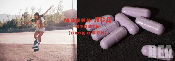 прущие грибы Болхов