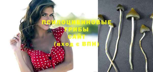 дурь Костерёво