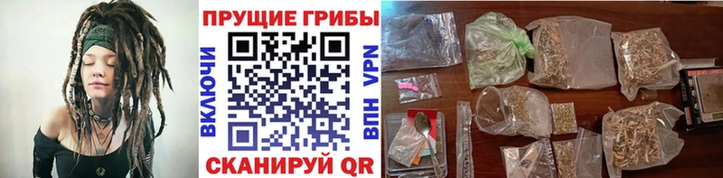 Галлюциногенные грибы Psilocybe  дарнет шоп  Микунь 